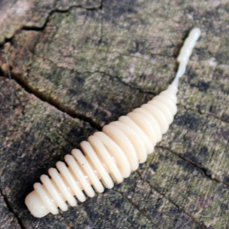 Gumová nástraha Trout Delirium Tanta 45mm 0,6g (10 pcs) barva Coffee Milk CM příchuť sýr