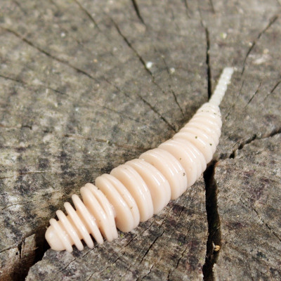 Gumová nástraha Trout Delirium Tanta 60mm 2g (8 pcs) barva Coffee Milk CM příchuť sýr