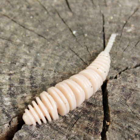 Gumová nástraha Trout Delirium Tanta 60mm 2g (8 pcs) barva Coffee Milk CM příchuť sýr