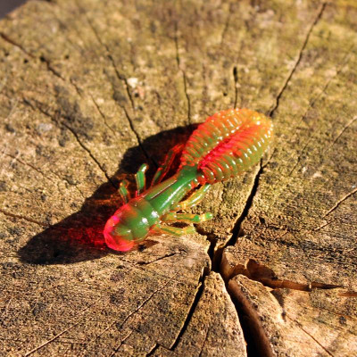 Harmony Baits Chrobák 55mm 8 pcs barva 019 Motoroil příchuť sýr