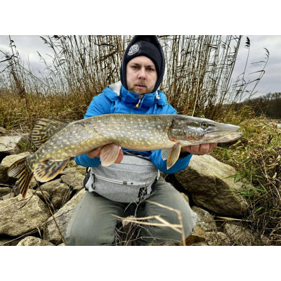 Ripper USAK 10cm Gold