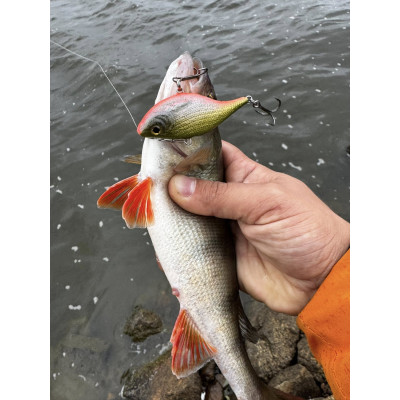 Wobler River Custom Baits Leaper 6,5cm B011 Orange gold