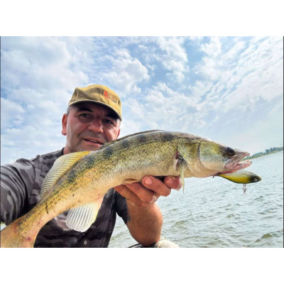 Wobler River Custom Baits Leaper 8cm 25g B012 Gold