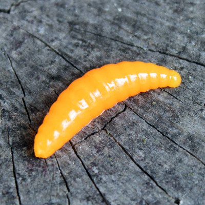 Gumová nástraha Trout Delirium Maggot 35mm 1,2g (10 pcs) barva LR2 příchuť sýr