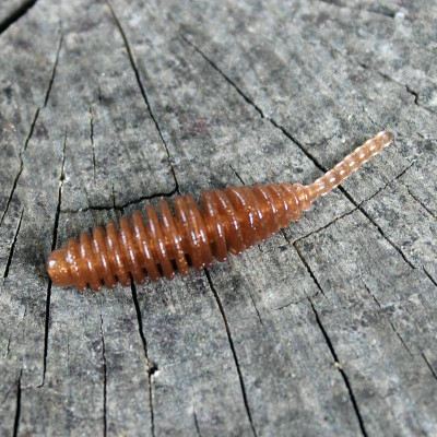 Gumová nástraha Trout Delirium Tanta 45mm 0,6g (10 pcs) barva Bronze BZ příchuť sýr