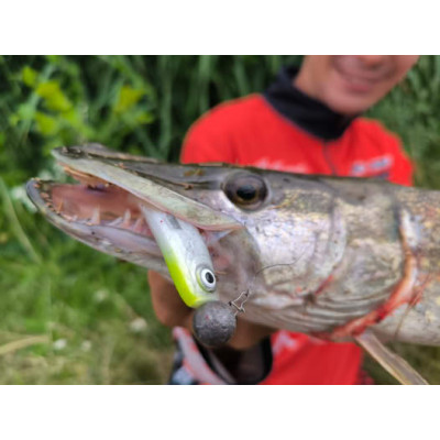 Ripper USAK 12cm Pearl Lime