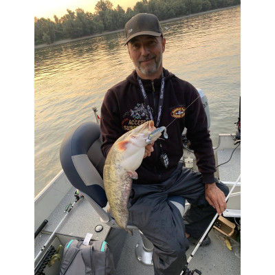 Ripper Monarch Dok Hollow Soul Shad 11cm barva Stint (balení 4 ks)