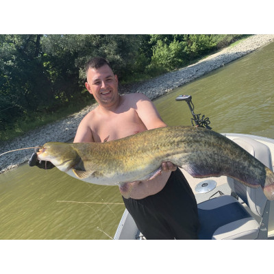 Ripper Monarch Dok Hollow Soul Shad 11cm barva Stint (balení 4 ks)