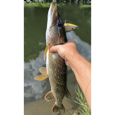 Bonito Krap 11,5cm jerk 37g potápivý 06