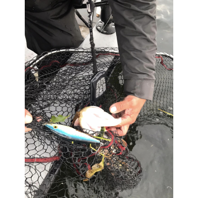 Wobler Bonito Krap 13cm 47g SR 3D Suspending barva Blue pearl BKK Hooks