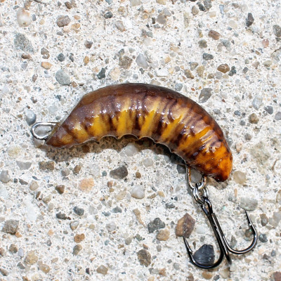 Wobler Revol Baits Robal 35mm 3g potápivý bronzovo-žlutý