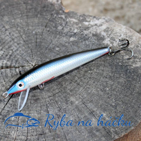 Gloog Nike 100 RB Floating