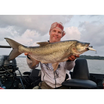 Wobler Super M Kobra 8cm 15g potápivá Hologram