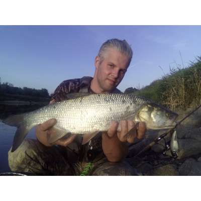 Wobler Super M Komando 8cm 15g potápivý zelený