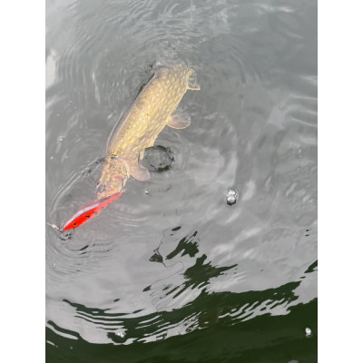 Wobler Bonito Krap 13cm 40g SR plovoucí barva Red Tiger Pomeranč BKK Hooks