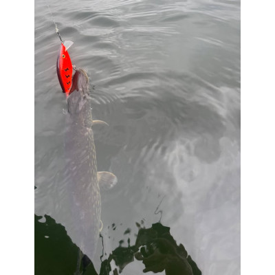 Wobler Bonito Krap 13cm 40g SR plovoucí barva Red Tiger Pomeranč BKK Hooks