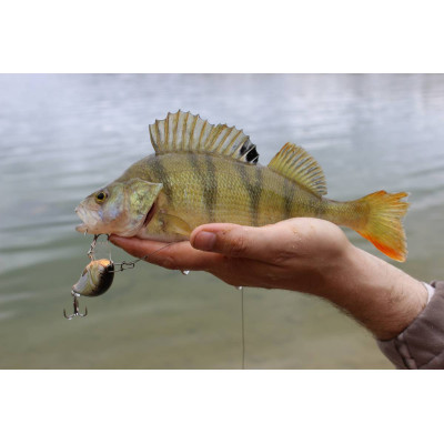 Bonito Ploc 7cm Super shallow runner barva plotice BKK Hooks plovoucí