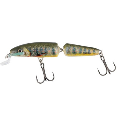 Wobler Salmo Fanatic IF7F 7cm - Lake Charr (LC)