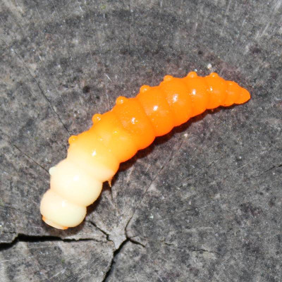 CzNymph Maggot Long 30mm 12 pcs barva FOW aroma sýr