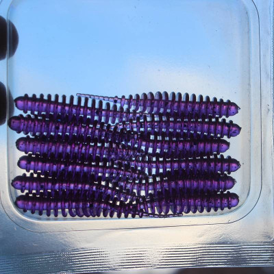 Prospin Baits Slug 2" 50mm 12 pcs barva 33 Violet Blue příchuť sýr