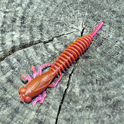 Prospin Baits Larwa 2" 50mm 10 pcs barva 13 Red/Violett příchuť sýr