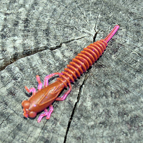 Prospin Baits Larwa 2" 50mm 10 pcs barva 13 Red/Violett příchuť sýr