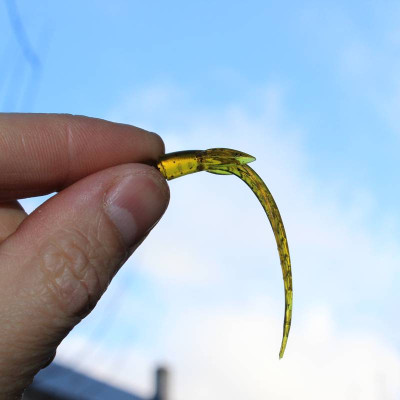 Prospin Baits Leaf 3" 7,5cm 10 pcs barva 01 Glass Caramel aroma sýr