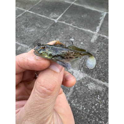 Westin GUNNAR THE GOBY R2F 6.5CM 6G BLACK MOUTH 1PC