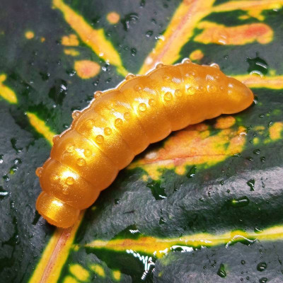 Nilsofky Bruncho 40mm 3.05g (balení 7 ks) barva 66 Gold aroma sýr