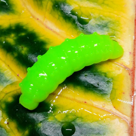 Nilsofky Bruncho 36mm 2,1g (balení 8 ks) barva 52 Fluo Chartreusearoma sýr