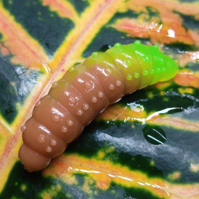 Nilsofky Bruncho 40mm 3,05g (balení 7 ks) barva DB UV - NS Brown UV + Fluo Green UV aroma sýr