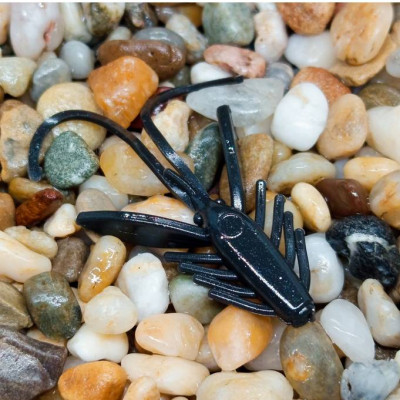 Nymfa Nilsofky Nympcho - LE 981/12 pcs - příchuť sýr