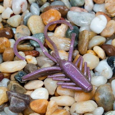 Nymfa Nilsofky Nympcho - LE 973/12 pcs - příchuť sýr