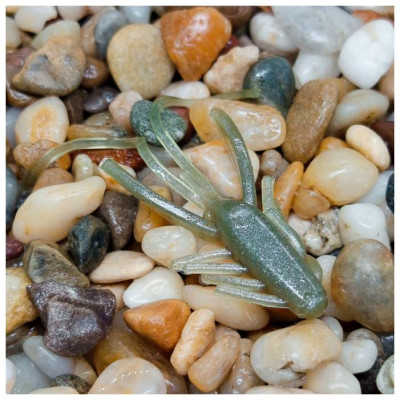 Nymfa Nilsofky Nympcho - 12ks - LE PGL/12 pcs - příchuť RAK