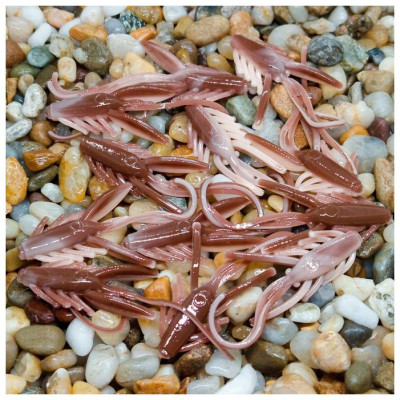 Nymfa Nilsofky Nympcho - 12ks - DB 330 UV (Brown UV +...