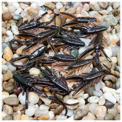 Nymfa Nilsofky Nympcho - DB LE 991/12 pcs - příchuť sýr