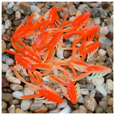 Nymfa Nilsofky Nympcho - 12ks - DB LE 985/12 pcs - příchuť sýr