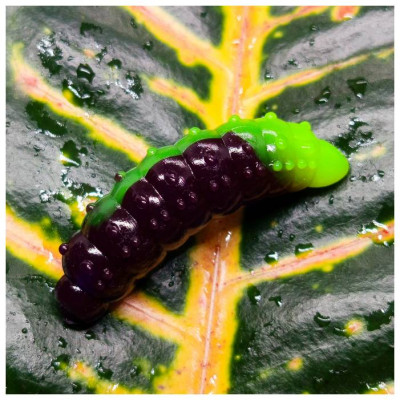 Nilsofky Bruncho 36mm 2,1g (balení 8 ks) barva DB316 UV (Ultraviolet + Chartreuse UV) aroma sýr