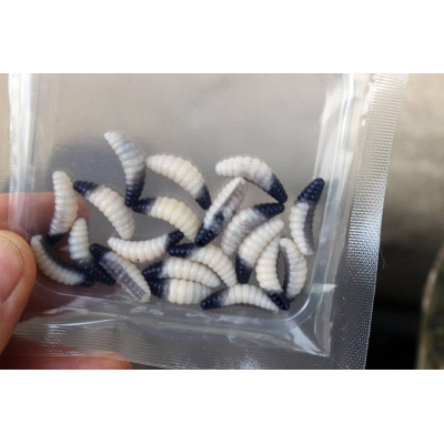 Prospin Baits Plujka 1" 25mm 20 pcs barva DUO 01 příchuť sýr