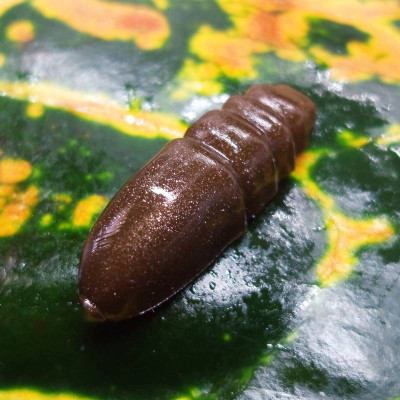 Nilsofky Pepcho 36mm 2,36g 9pcs barva 021 CB (catchy Brown) aroma sýr