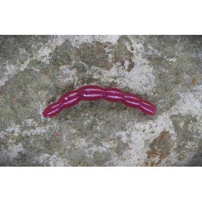 CZNymph Ochotka 30mm BWB (balení 10 kusů)