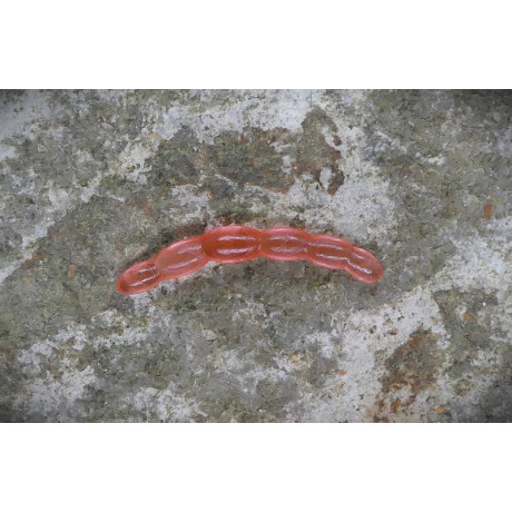 CZNymph Ochotka 30mm RDB (balení 10 kusů)