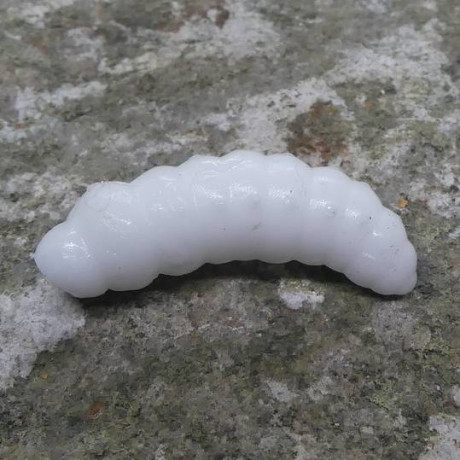 CzNymph Caterpillar 30mm White (10 kusů) příchuť sýr
