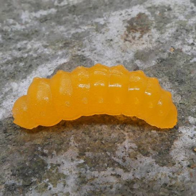 CzNymph Caterpillar 30mm NOR (10 kusů) příchuť sýr