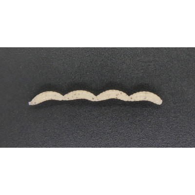 CZNymph Pinka XUL 10mm 24pcs barva CHETB