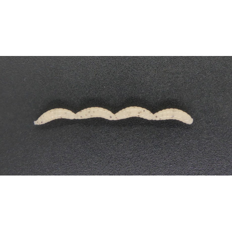 CZNymph Pinka XUL 10mm 24pcs barva CHETB