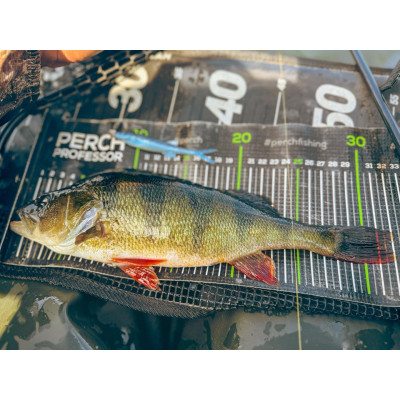 Perch Professor Freakin Minnow 4””/10cm 10 Pro Blue - 4pcs