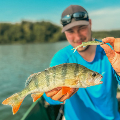 Perch Professor Freakin Minnow 4””/10cm 10 Pro Green - 4pcs