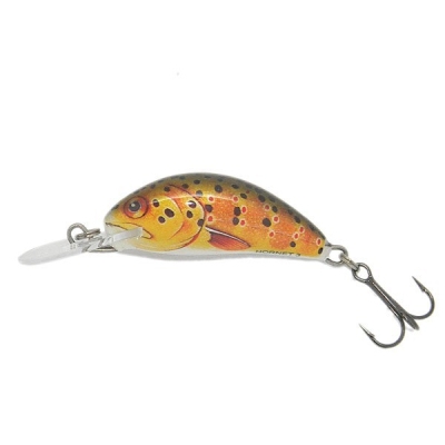 Salmo Hornet 3S Trout