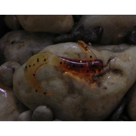 Twister Orka Tail T-5cm-R